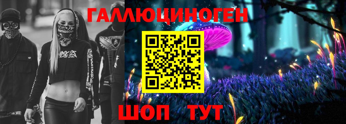 Златоуст  Псилоцибиновые грибы Cubensis  Вход с VPN 
