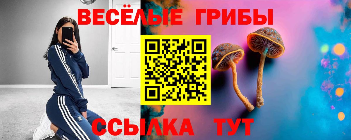 Псилоцибиновые грибы Psilocybine cubensis Златоуст